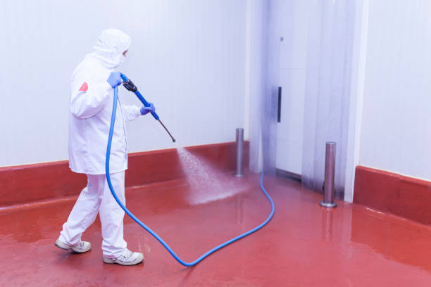 Best House Exterior Washing  in Strawberry Plains, TN