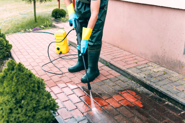 Best Roof Washing  in Strawberry Plains, TN